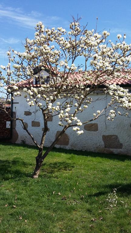 Casa Da Quinta De S. Martinho