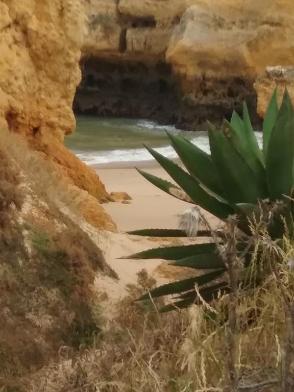 Casa Cereja 'adults Only' * Albufeira