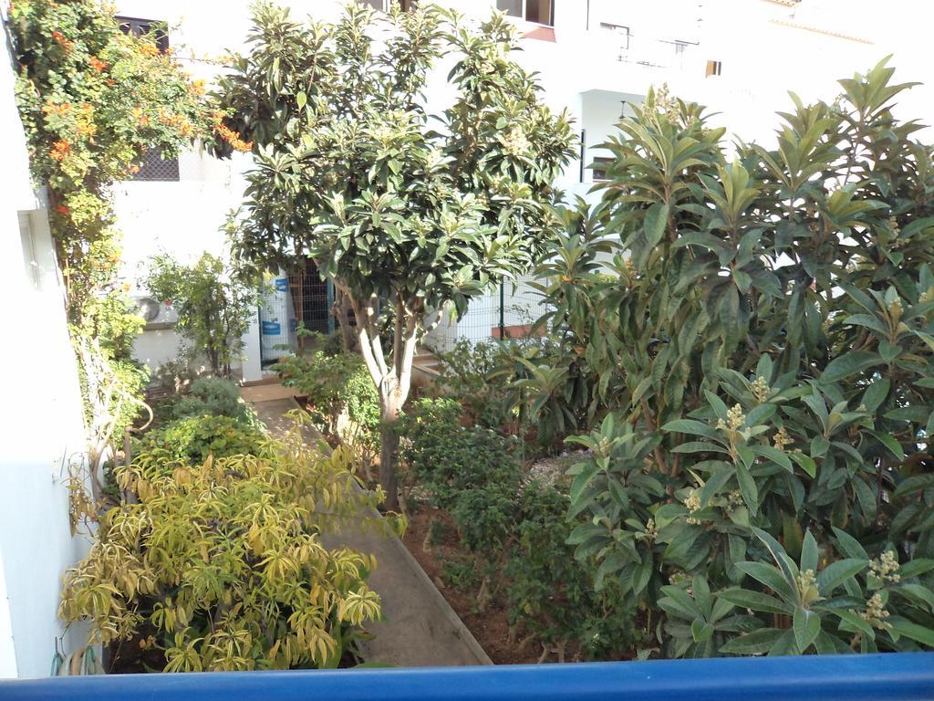 Apartment Casa Mitchell Albufeira