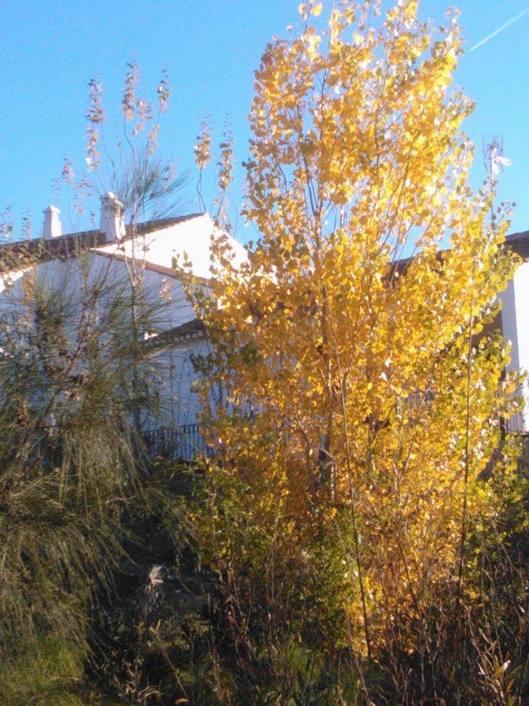 Casas Do Palheiro Velho Country house