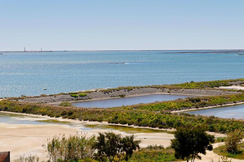 Privilege Folha De Louro With Rooftop Pool, Village Marina - Olhao