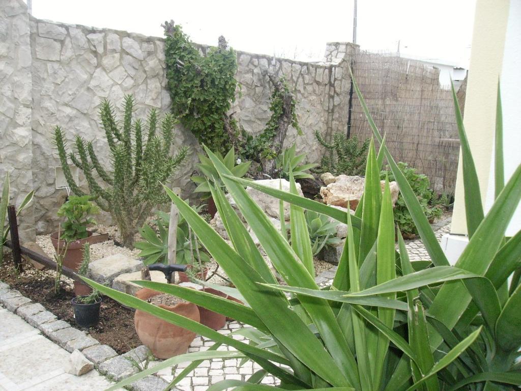 Ocean View Bed & Breakfast 2*