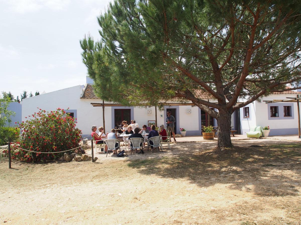Casas Na Vinha - Monte Da Casteleja, Wine Estate - Eco * Lagos