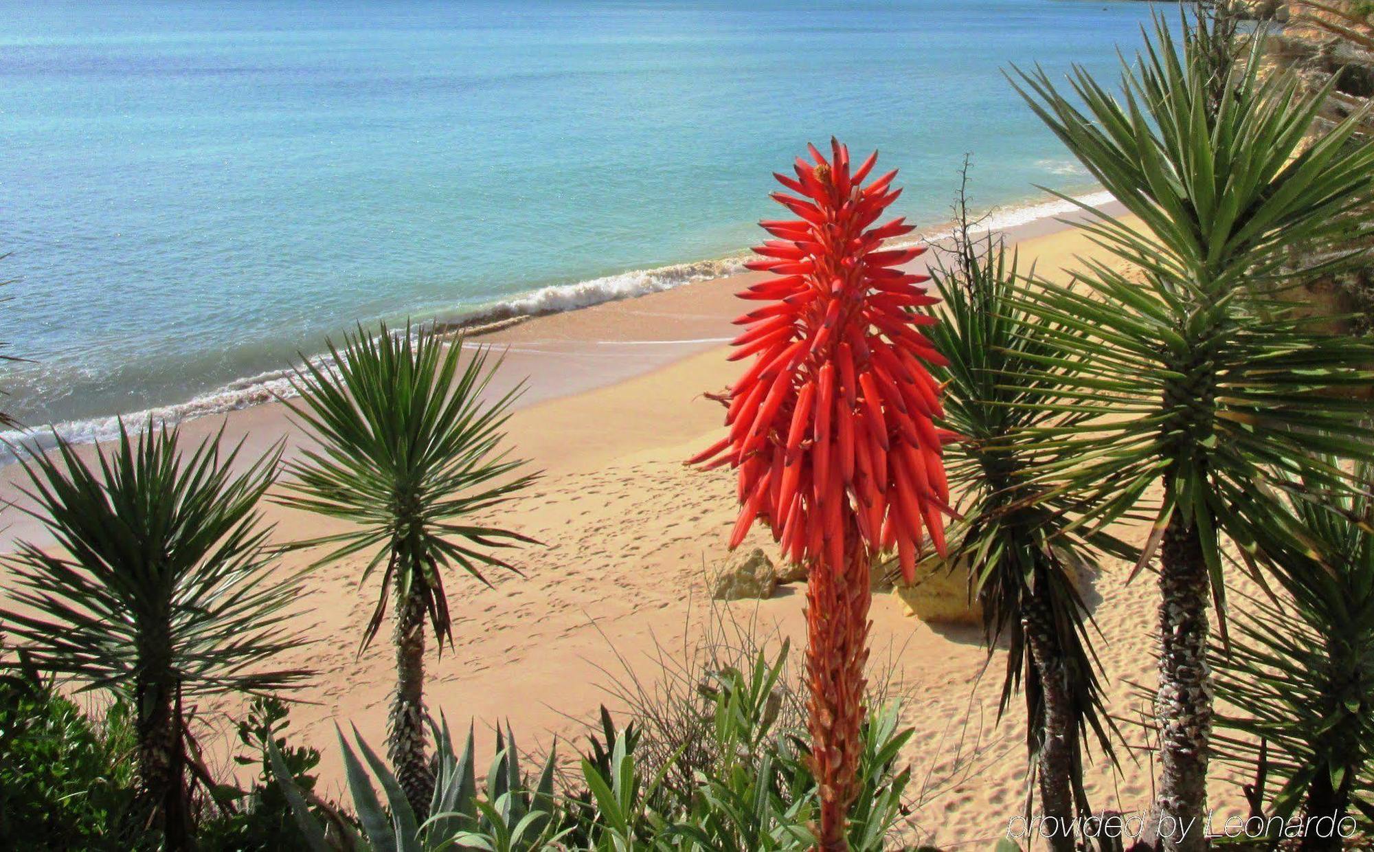 Algarve - Armacao De Pera, An Ihg