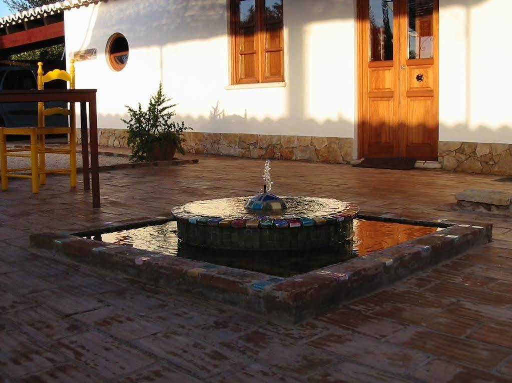 Guest house Casa Camaleon
