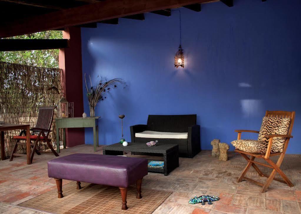 Guest house Casa Camaleon *