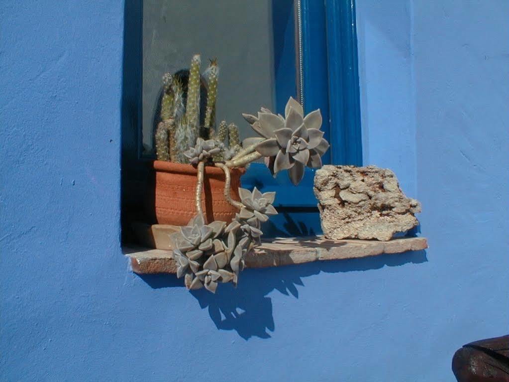 Casa Camaleon Guest house