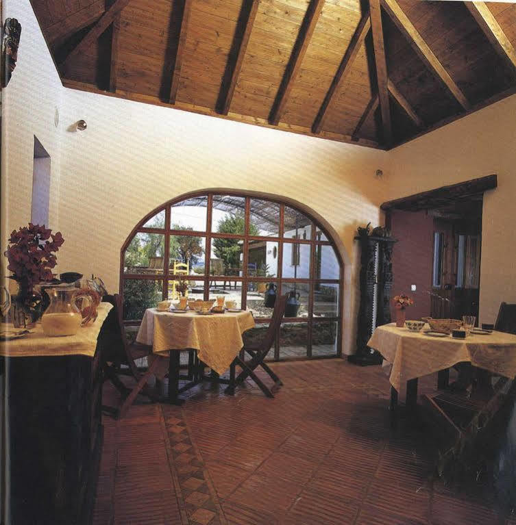 Guest house Casa Camaleon *