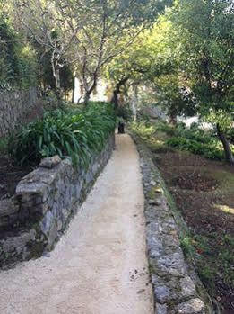 Bed and breakfast Dos Poetas Sintra