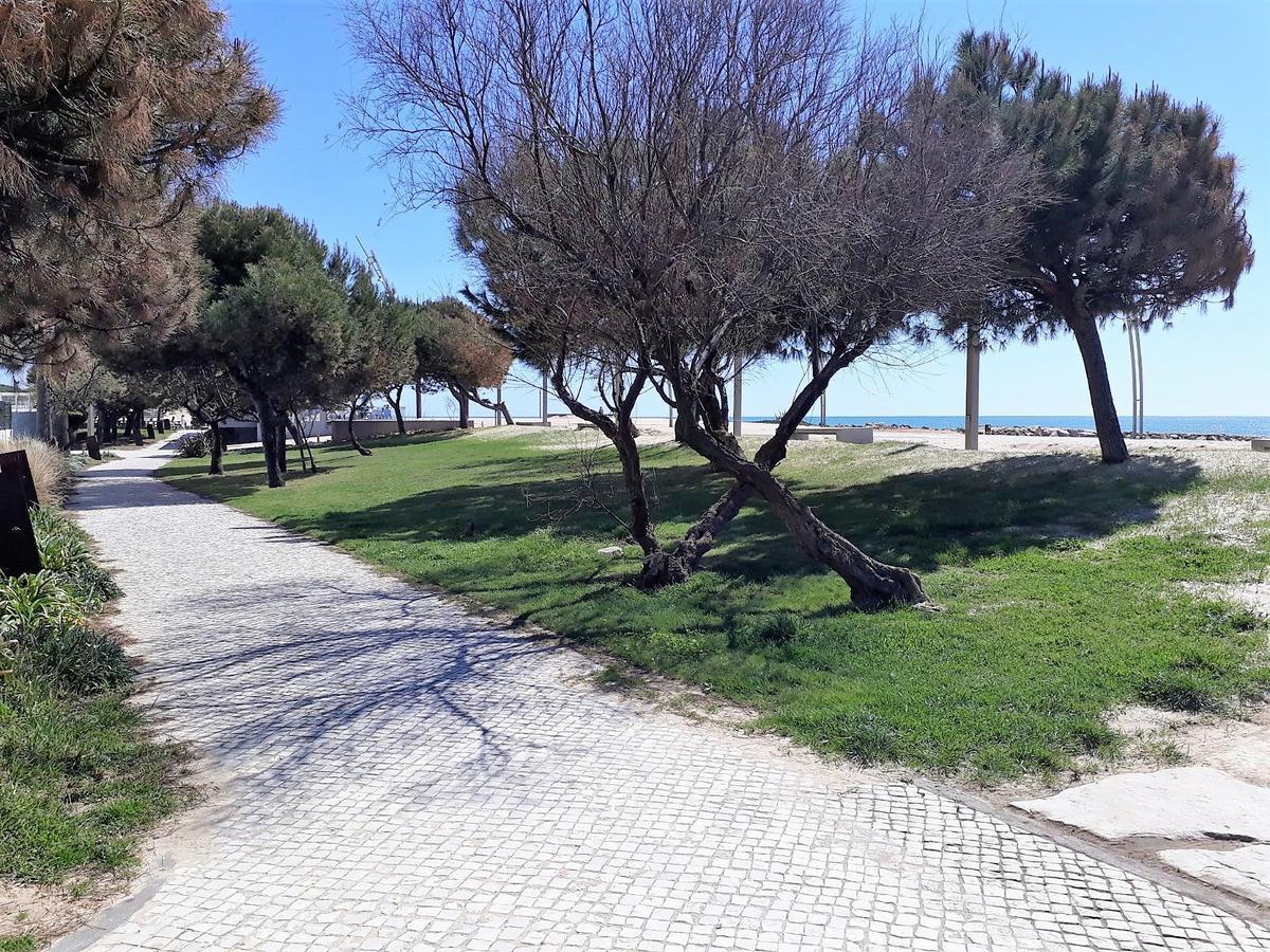 Apartment Avenida Mar- Vista Mar, Wifi, 150mt *