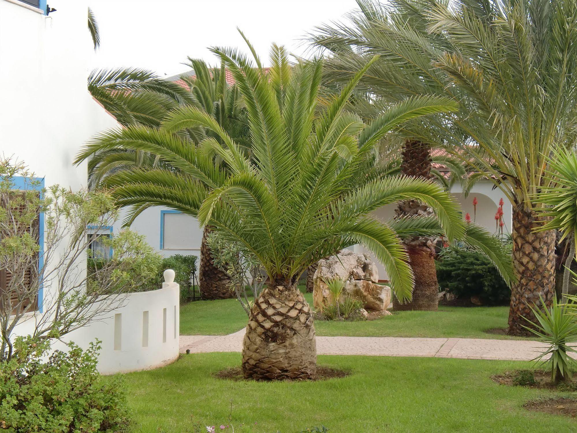 Ponta Grande Carvoeiro Holiday park 3*