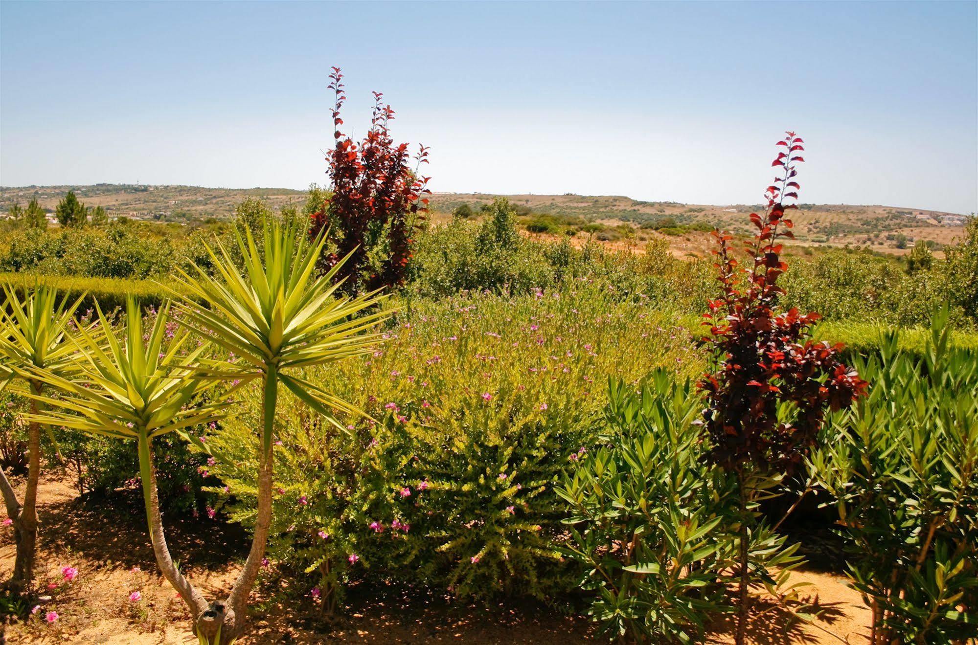 Almaverde Village & Spa Holiday park Burgau
