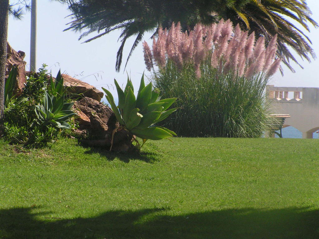 Iberlagos 3*