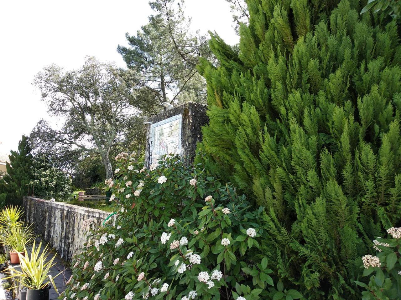 Guest house Quinta Da Telheira