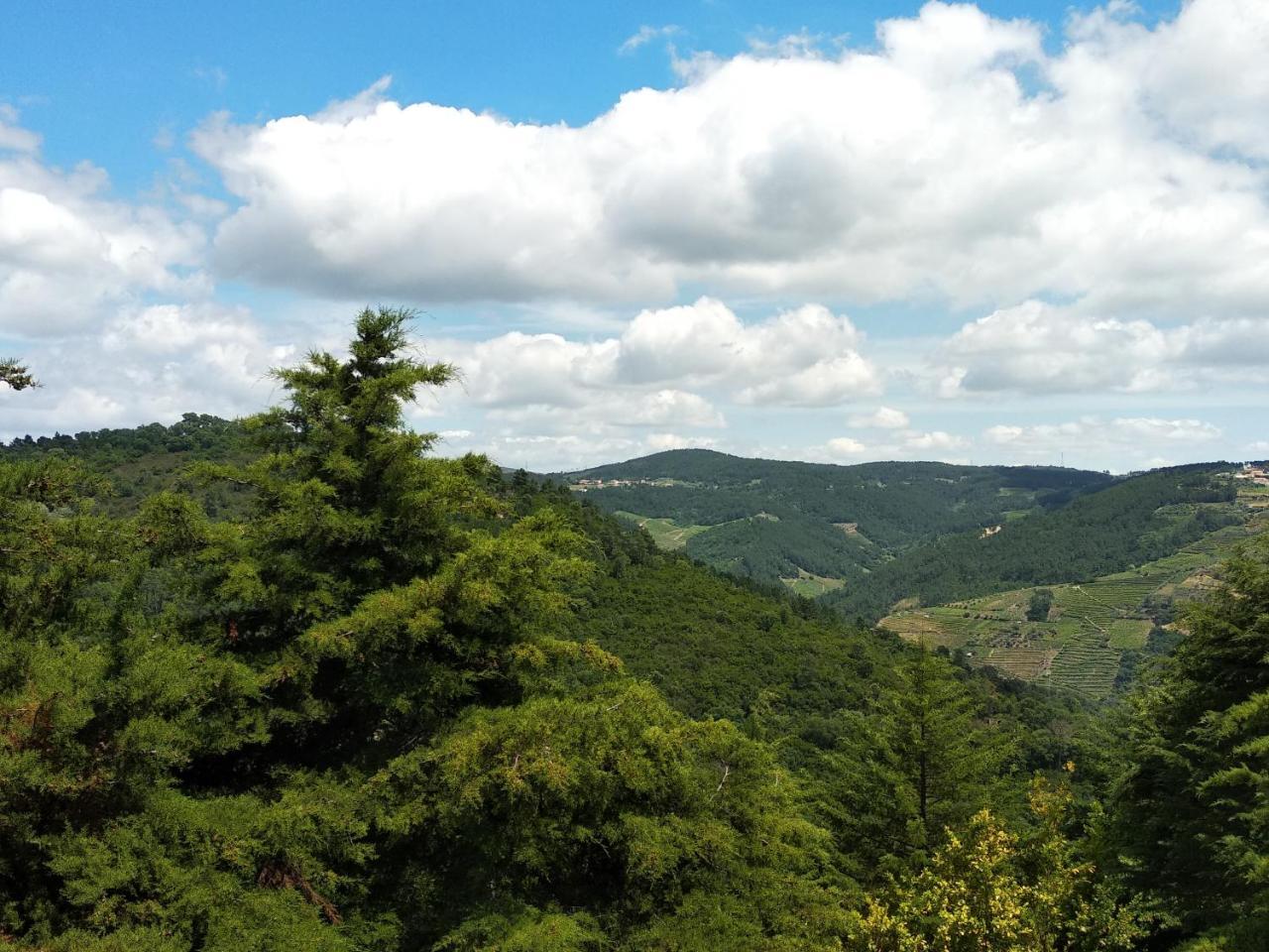 Quinta Da Telheira