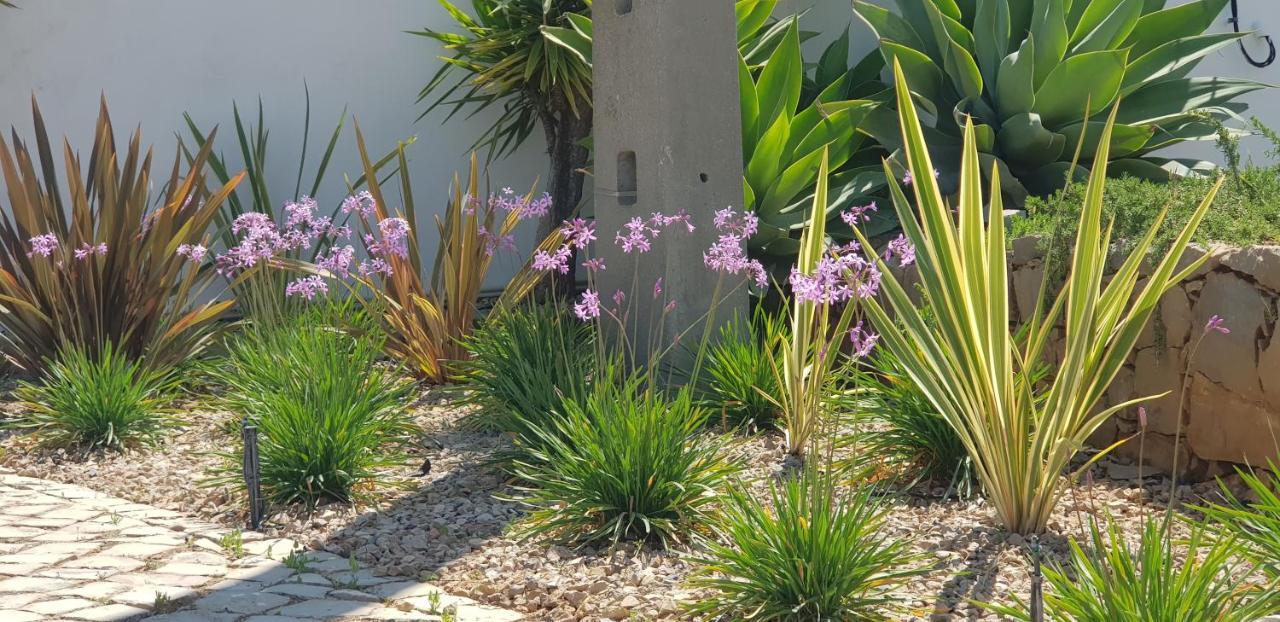 Villa Quinta Da Violeta Loule