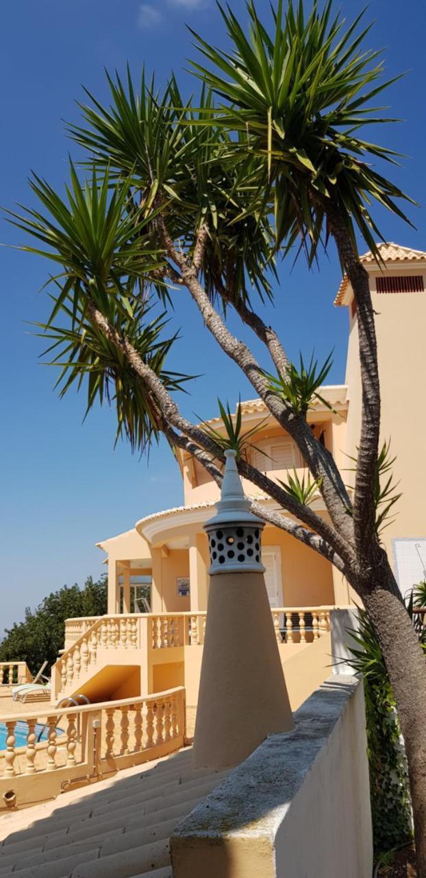 Villa Quinta Da Violeta *