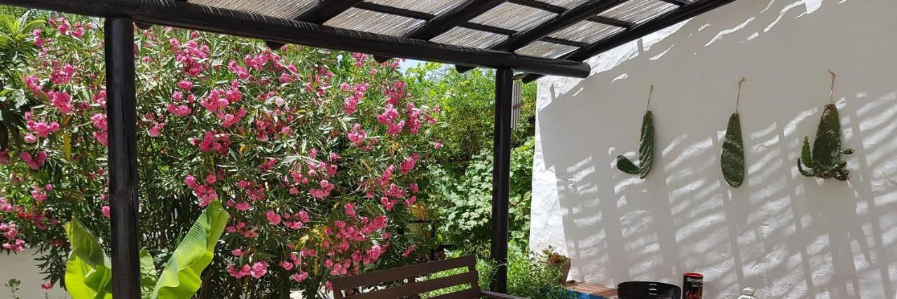 Quinta Dos Cochichos Farm stay