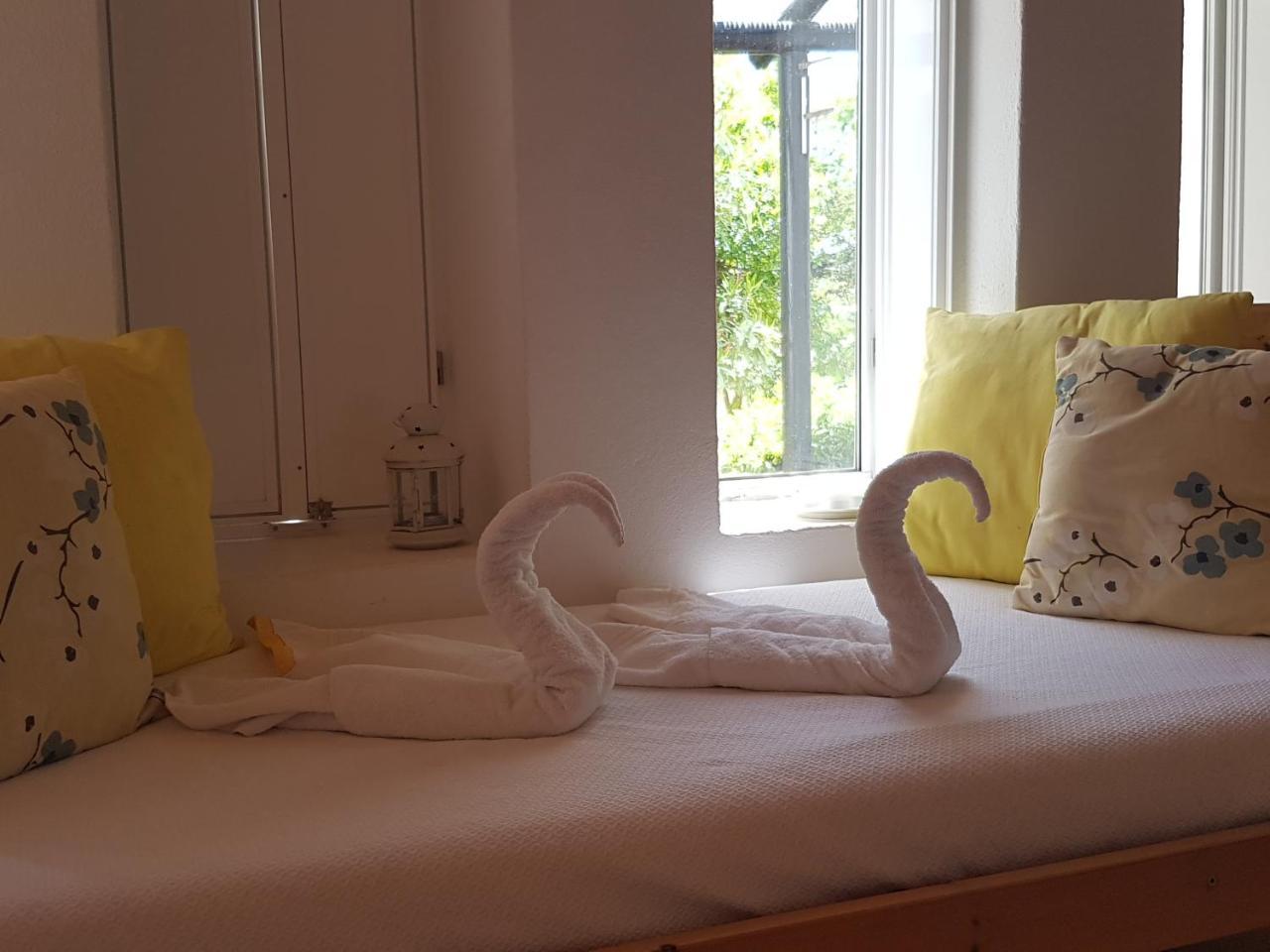 Farm stay Quinta Dos Cochichos *