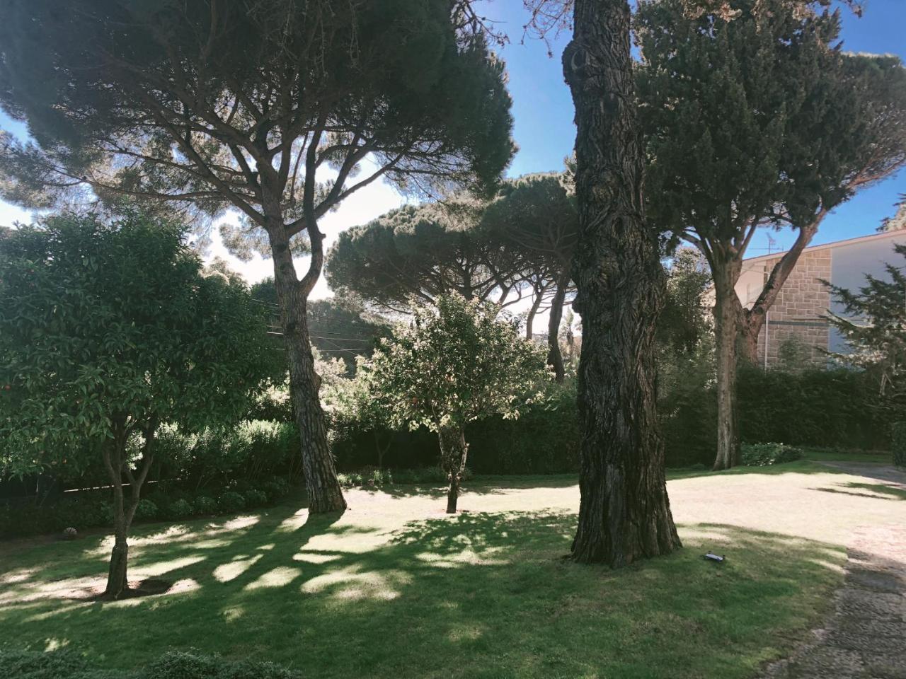 Soul Lab Eco Yoga Retreats Hotel 3*