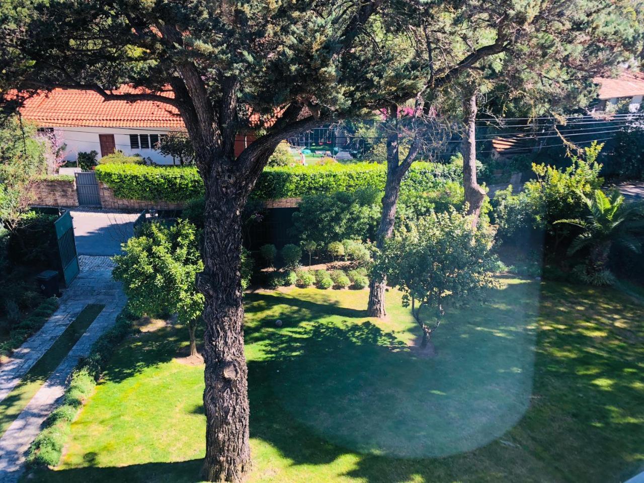 Soul Lab Eco Yoga Retreats Alcabideche