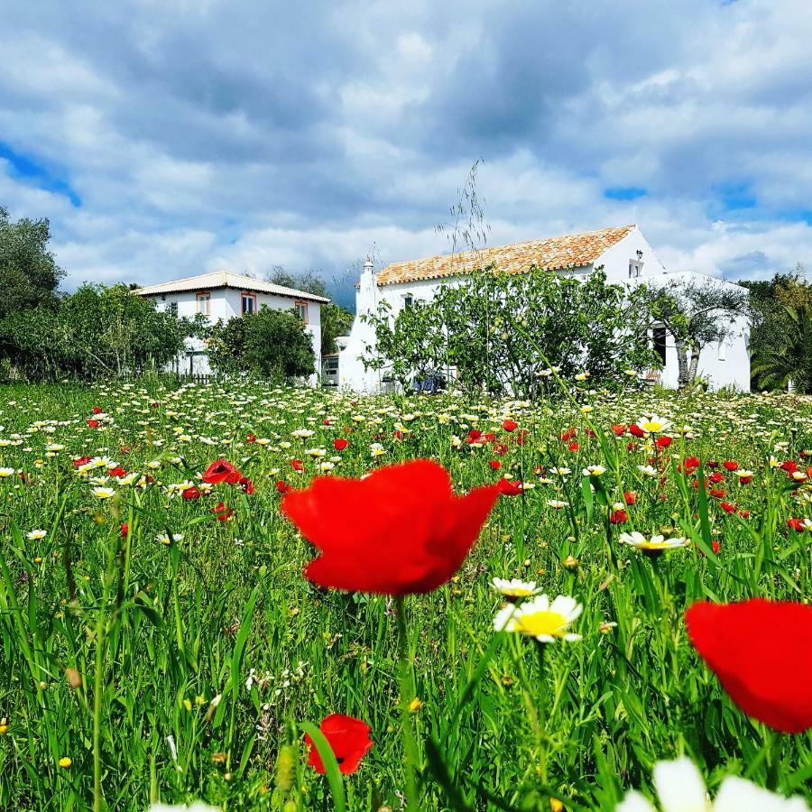 Quinta Dos Cochichos Farm stay *