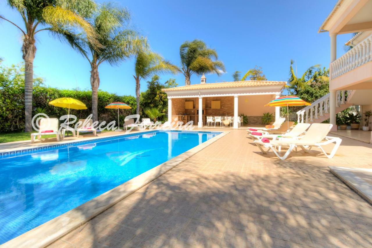 V5 * Alvor