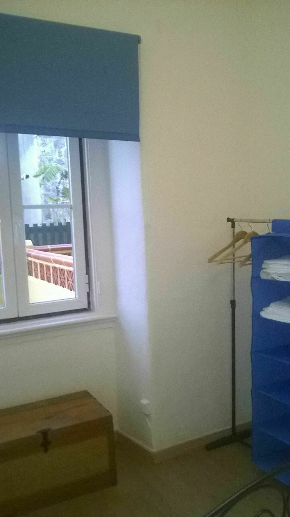 Cats House 3*