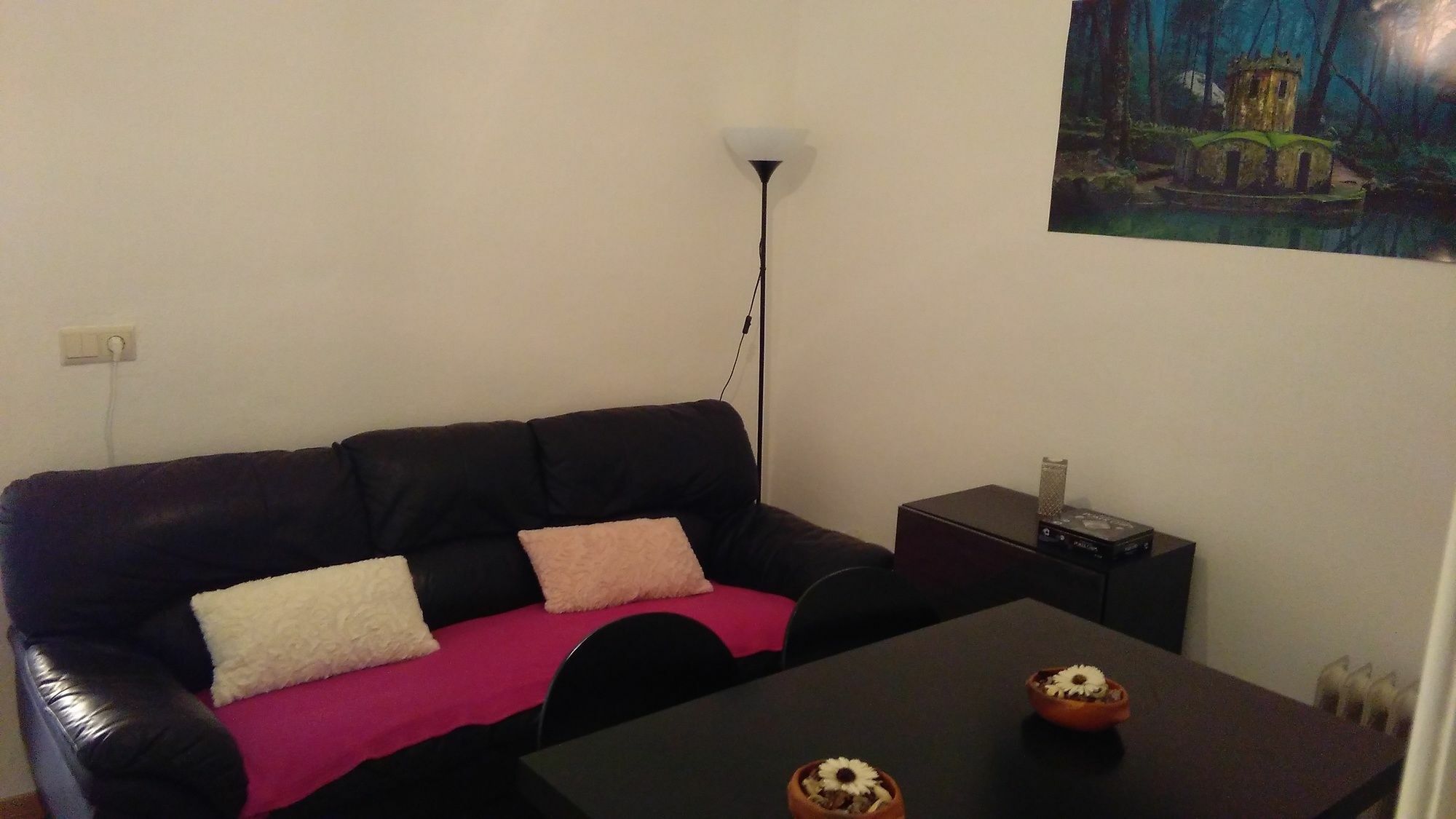 Cats House Hotel 3*