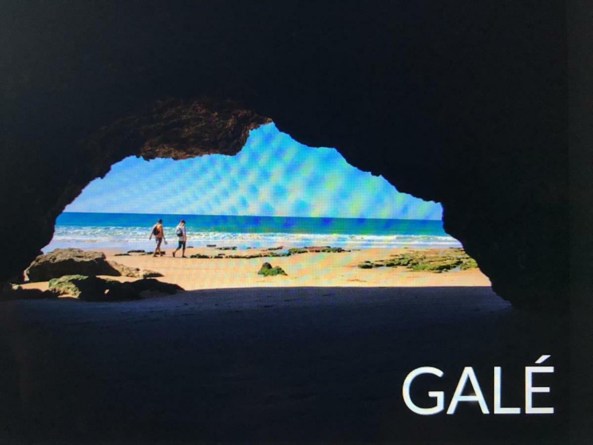 Palmeira Gale Apartment Albufeira