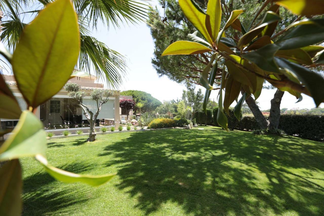 Quinta Do Pinheiro Manso - Holidays - Marinha Villa *
