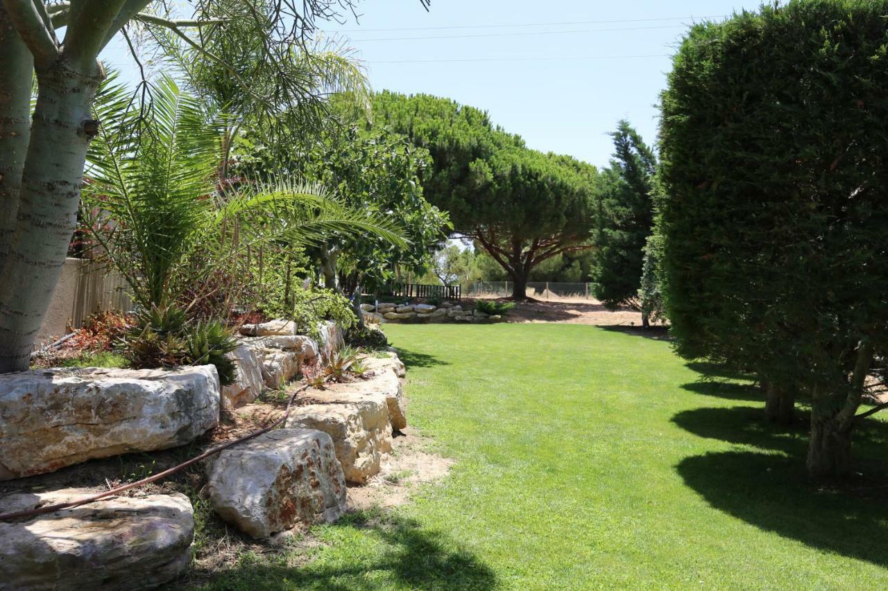 Villa Quinta Do Pinheiro Manso - Holidays - Marinha *
