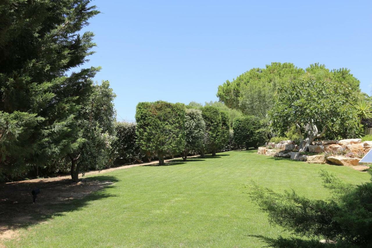 Quinta Do Pinheiro Manso - Holidays - Marinha * Carvoeiro (Lagoa)