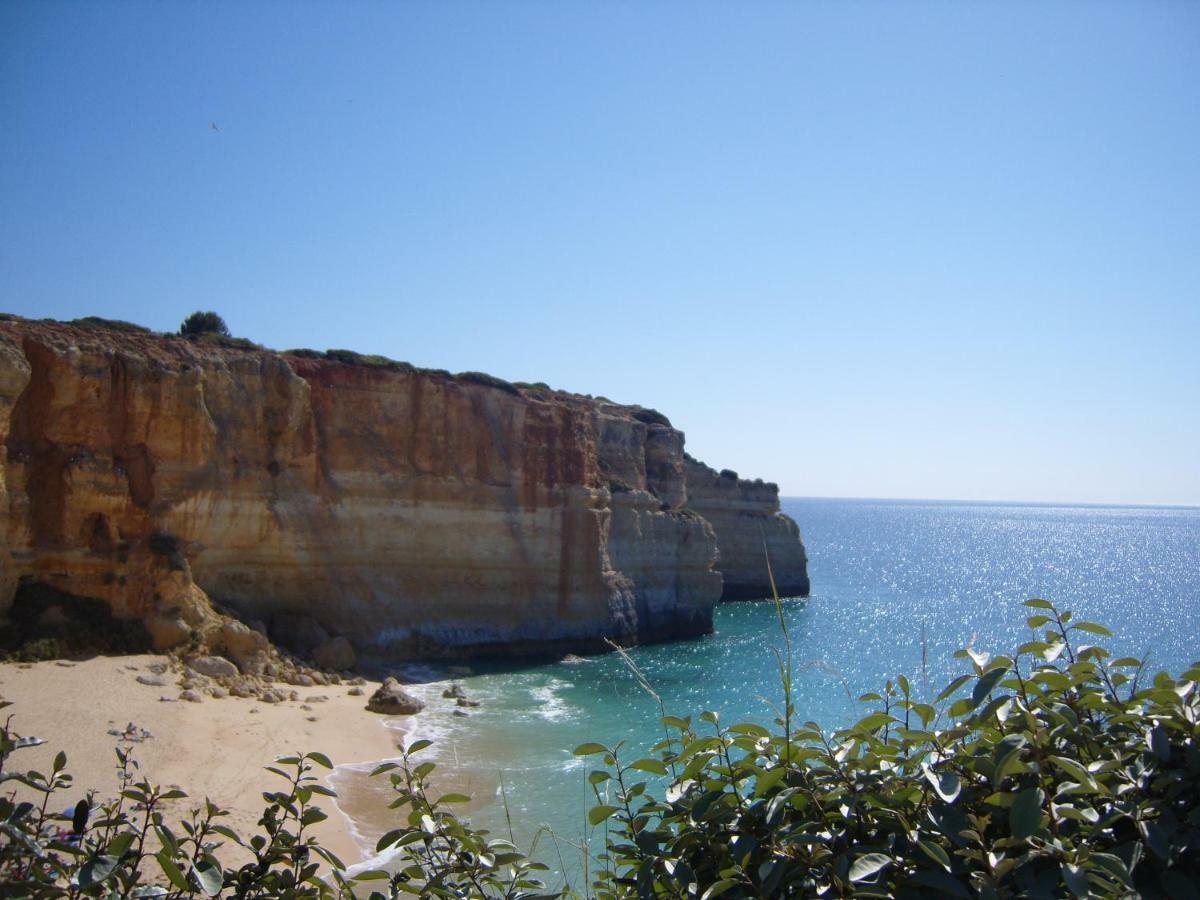 Quinta Do Pinheiro Manso - Holidays - Marinha