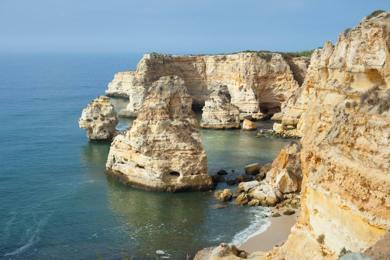 Villa Quinta Do Pinheiro Manso - Holidays - Marinha