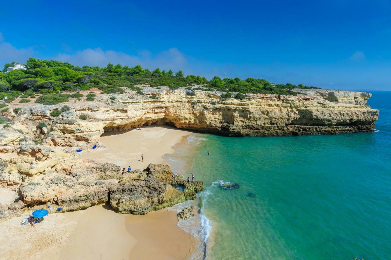 Quinta Do Pinheiro Manso - Holidays - Marinha Villa *