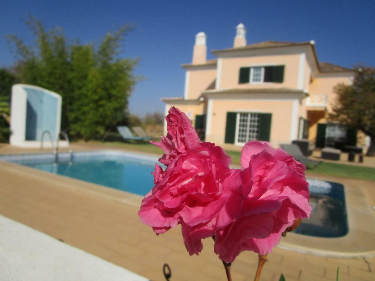 Casa Dos Ventos Bed & Breakfast *
