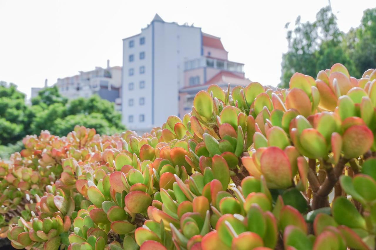 Apartamento Cacao Estoril