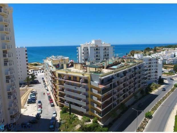 Apartment Olival *