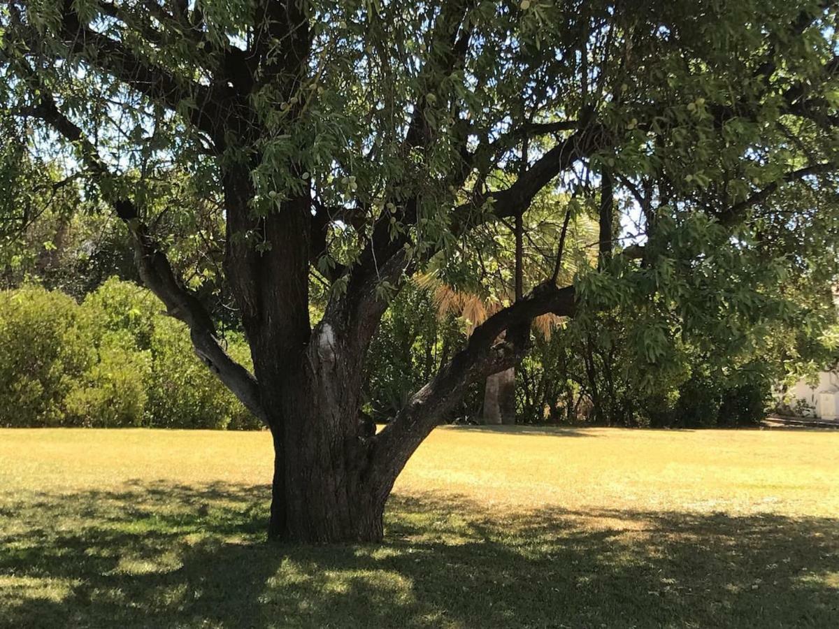 C/ Piscina Próxima Da Villa