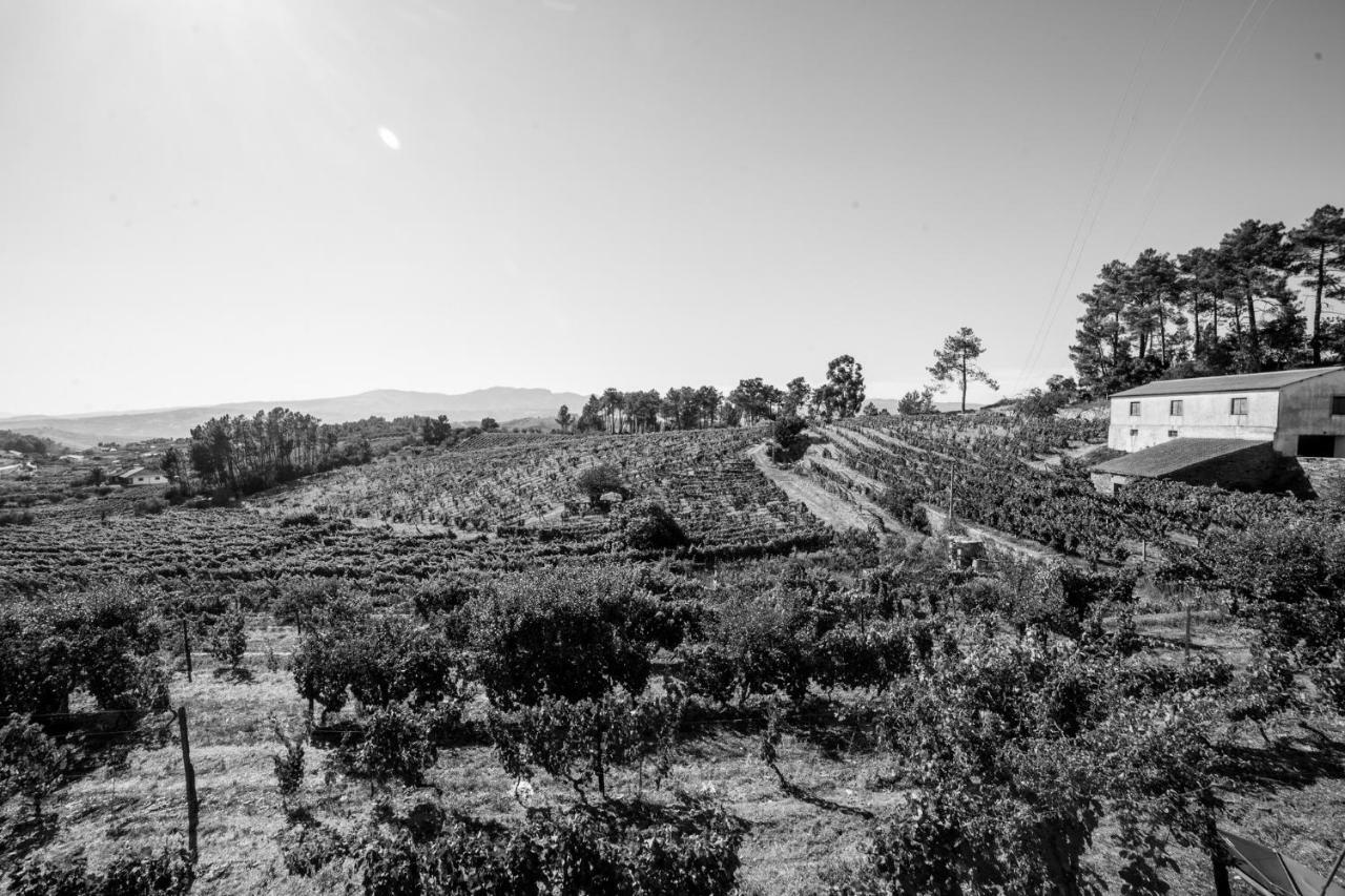 Quinta Da Estrada Winery Douro Valley Guest house Peso da Regua
