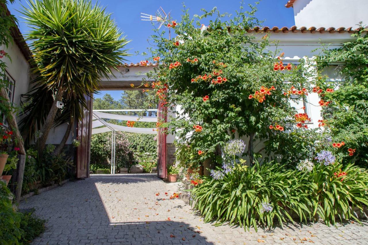 Guest house Quinta Da Estrada Winery Douro Valley Peso da Regua