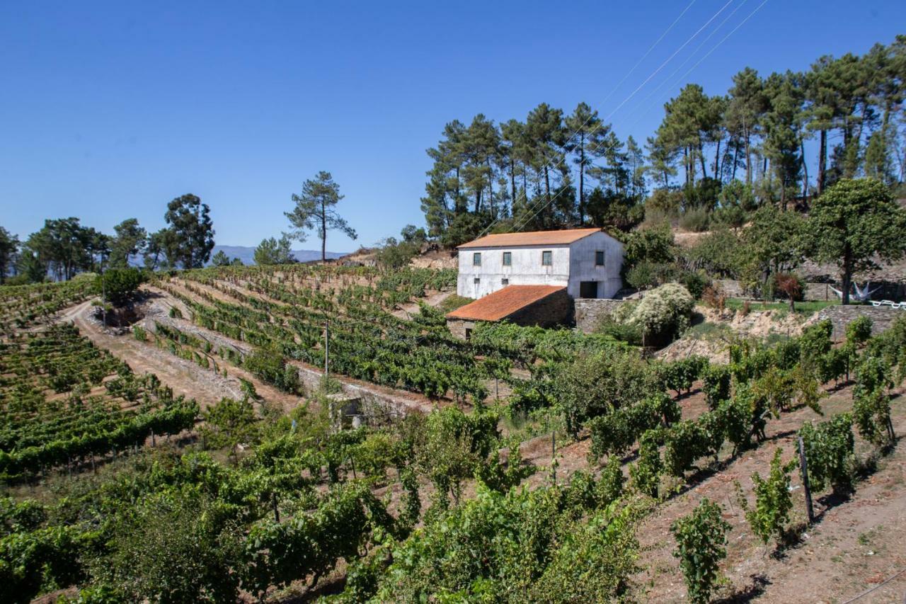 Quinta Da Estrada Winery Douro Valley Peso da Regua