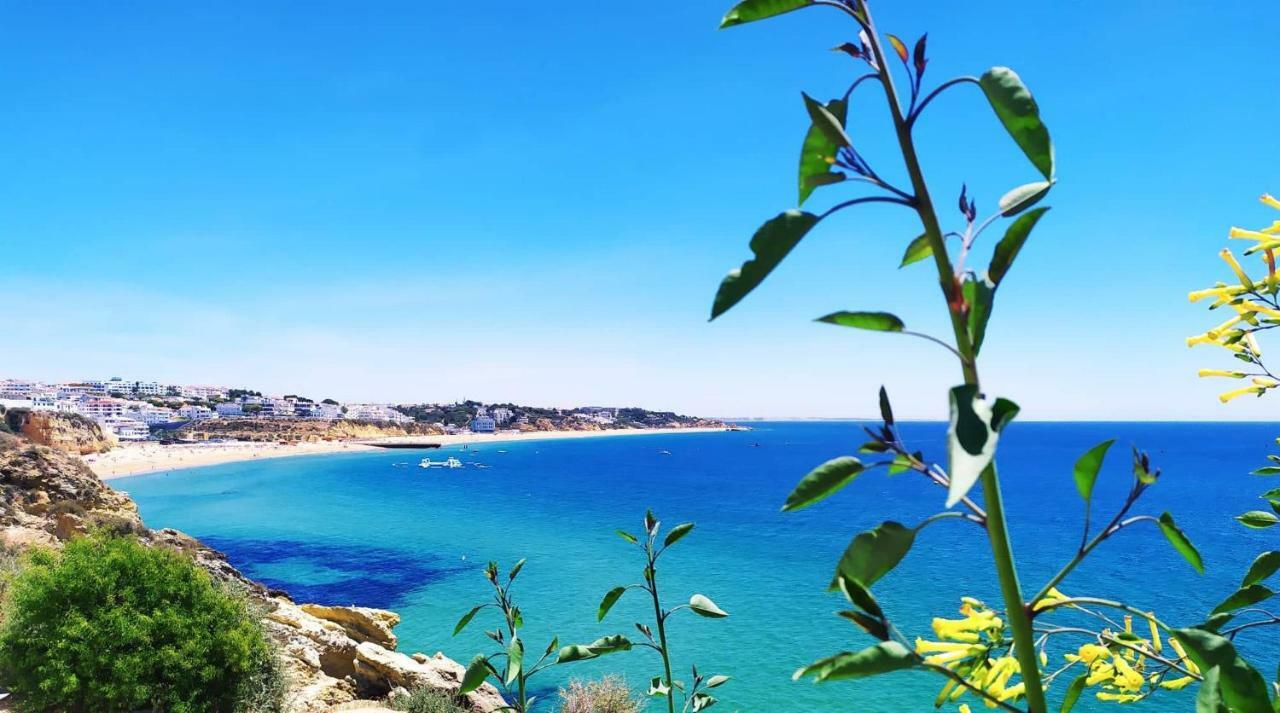 Apartamento Albufeiraorada By Be Cherish Albufeira