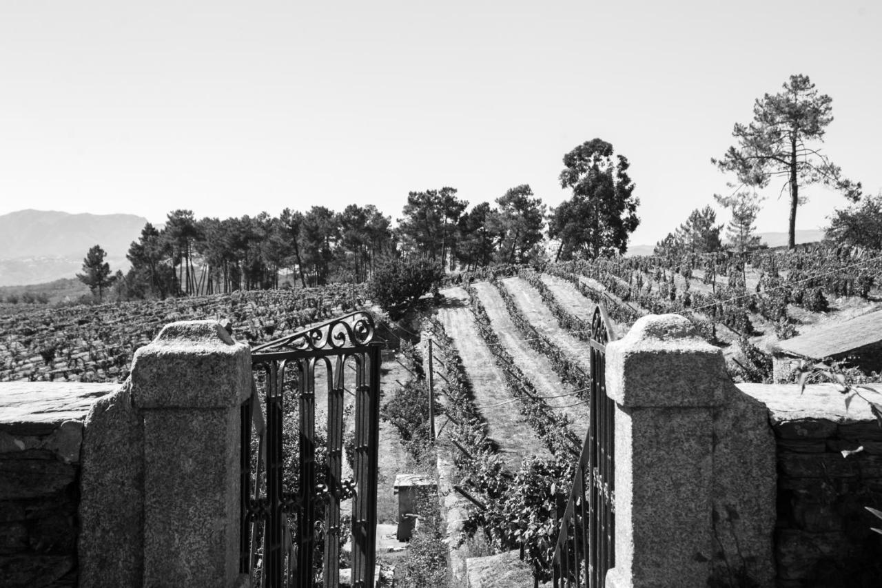 Quinta Da Estrada Winery Douro Valley Peso da Regua