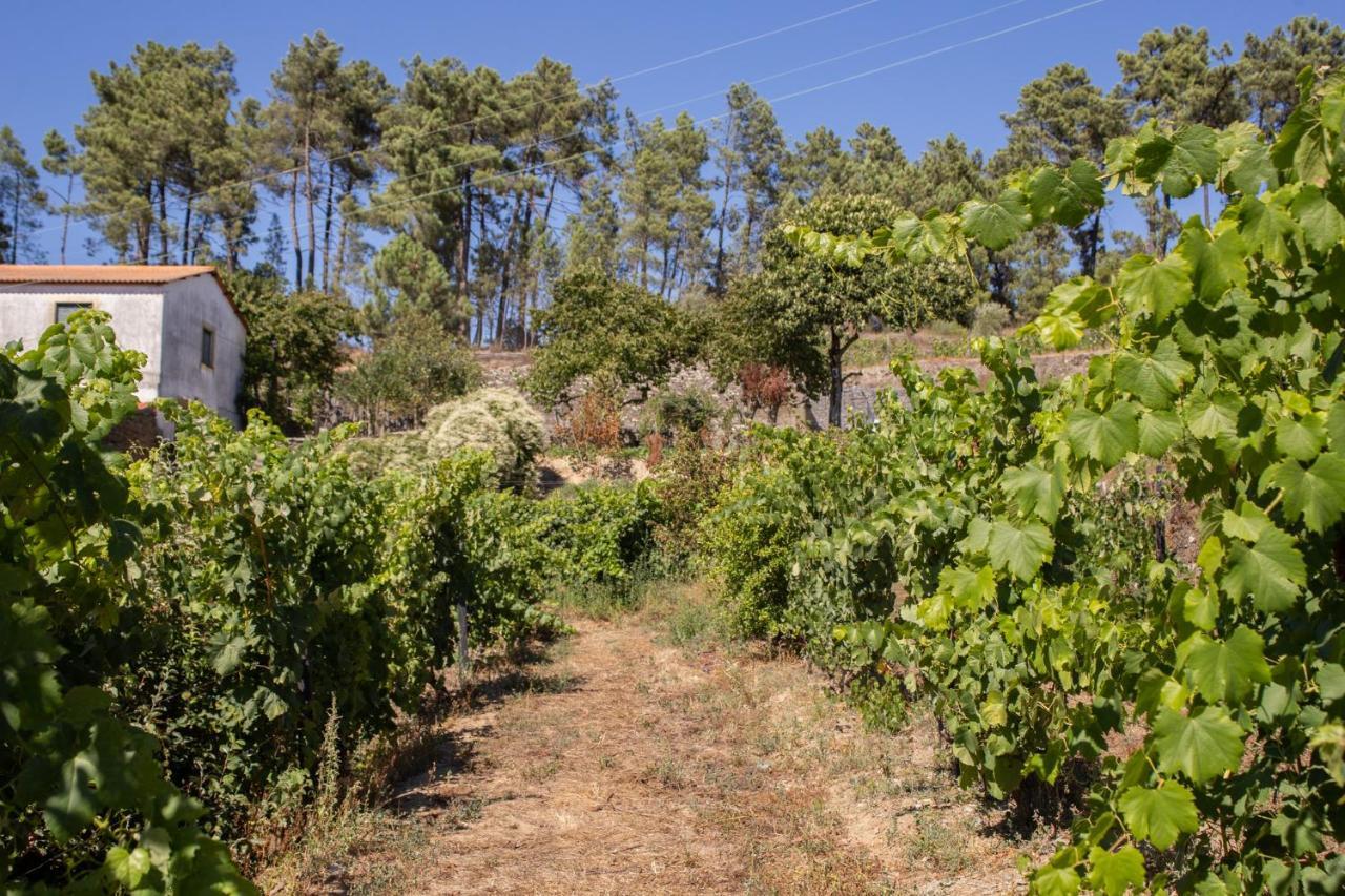 Quinta Da Estrada Winery Douro Valley 4* Peso da Regua