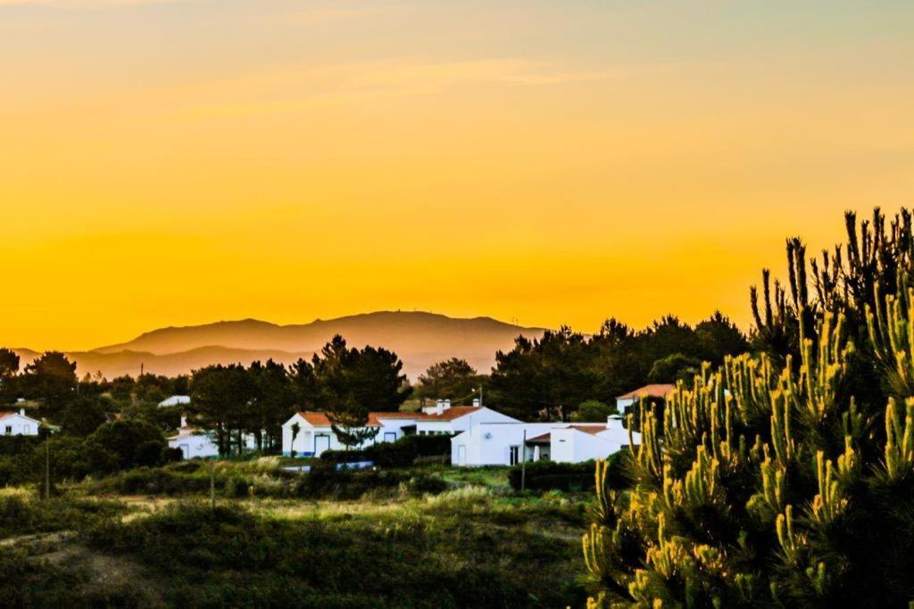 Mayla Surf House Holiday home Aljezur