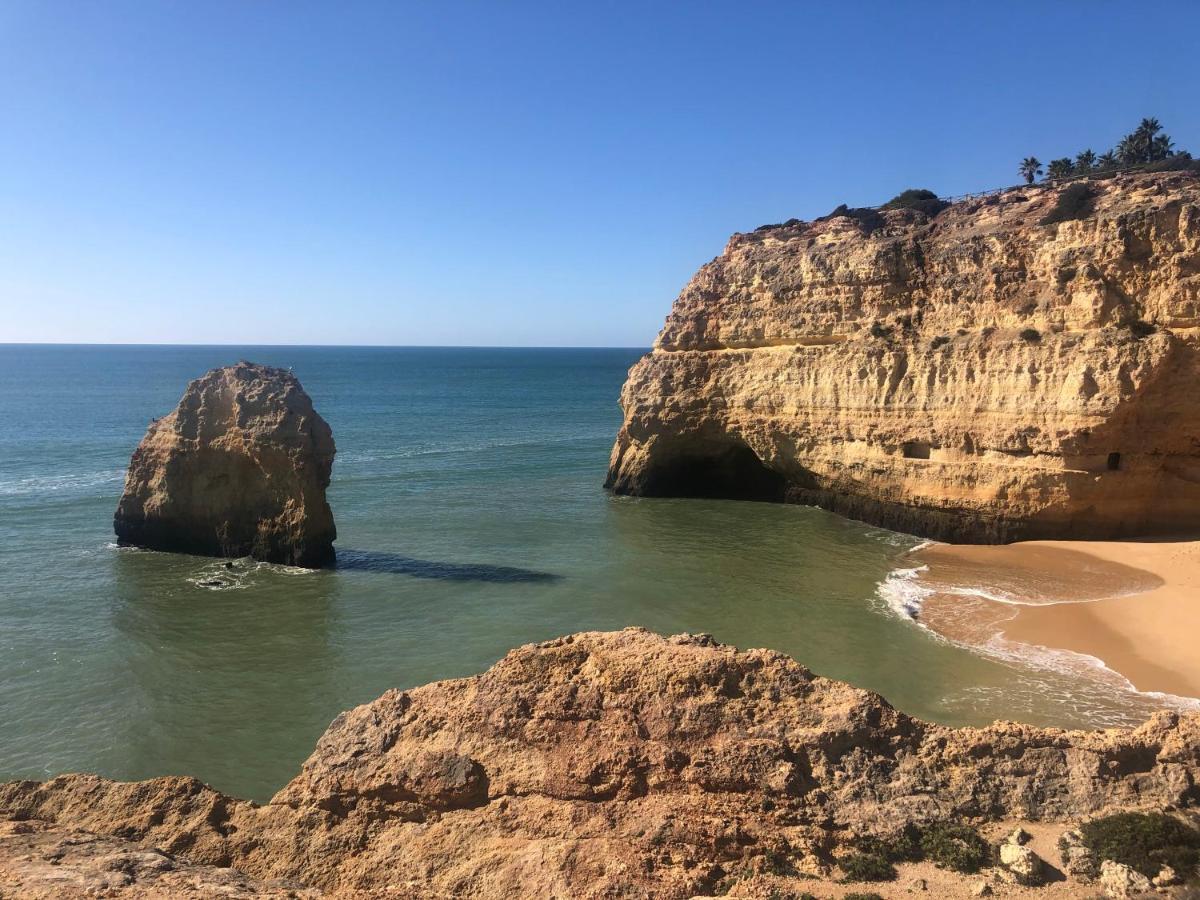 Villa Casa Dos Cedros Carvoeiro (Lagoa)